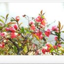 상원부동산중개 이미지