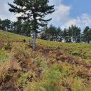 고두보건진료소 이미지