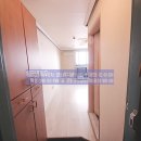 팔레스텔 이미지