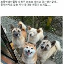 동네친구