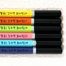 모닝글로리세종