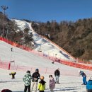 가온누리 태권도 | 스키캠프 1일 차 후기