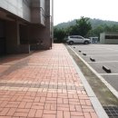 에비뉴공인중개사사무소 이미지