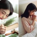 아그네스