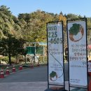 동읍672 | 창원 동읍 단감테마공원 나들이 (f.12개월아기)