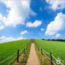 대관령 삼양라운드힐, 초원 위의 힐링 여행 이미지