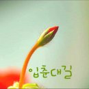 입춘 이미지