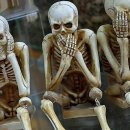 스타키보청기춘천난청센터 | 소중한 청음, 다시 찾은 활력 이야기: 스타키보청기 춘천난청센터 방문기