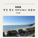 오후의 여유, 홍차(수시접수) | 부산 여행 해운대 숙소 호텔 신라스테이해운대