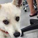 호은농장 이미지