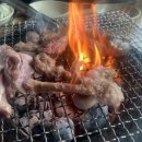 지수농원 네이버블로그