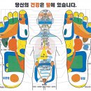 미인뷰티죤