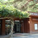 동해바다 1 이미지