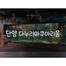 도산민물휴게실민박 | 단양 다누리아쿠아리움 , 단양 다누리아쿠아리움 할인, 충북 단양 아기랑 갈만한 곳