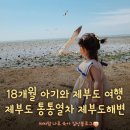 태양게임랜드 | 제부도 즐거운 가족여행 다녀왔어요 제부도 통통기차타는 법 제부도 물때 챠챠 +577일