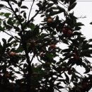 풍년마트 이미지