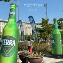 2026 한빛탑 맥주축제 음악분수 카페 주차 총정리