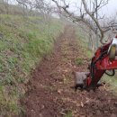 금월농장 이미지