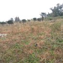 이석호공인중개사사무소 이미지