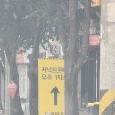 현대 힐프라자 사거리 | 커넥트현대 청주 오픈 후기 주차, 가볼만한 곳, 이벤트 총정리