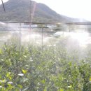 가온누리농장 이미지