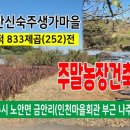 금안농장 네이버블로그