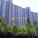 용구대로 2771번길 이미지