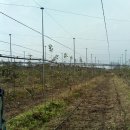 여주-0833 이미지