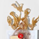 (주)그린펫푸드 이미지