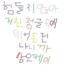 다은니트 이미지