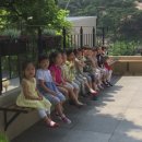 세검정유치원 이미지