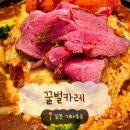 펑키 | [일본/기타큐슈] 꿀벌카레 - 현지인이 추천하는 모지코 야끼카레 펑키타이거와 비교 후기