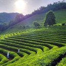 보성행정사사무소 이미지