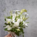 은빛꽃꽂이조경학원 이미지