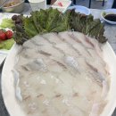 연안부두 목포신안18호횟집 | 인천 연안부두맛집, 목포신안 18호 횟집, 네버엔딩 스끼다시