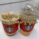 상남로 | 스타벅스 크리스마스 음료(윈터 스카치 바닐라 라떼, 핑크 팝 캐모마일 릴렉서) 프리퀀시 시작