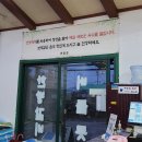 제주버들못