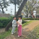 형제안과 이미지