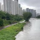 안양중앙초등학교 이미지