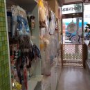 느낌it개 이미지