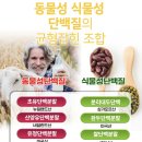 이다미 | 담은수 공구 7월 이다미맘 이유식채수팩 유아식레시피 꿀팁