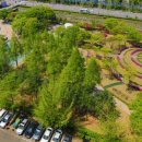 과천시 중앙공원 이미지