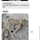 태안 청포대 독채가족 율라 이미지