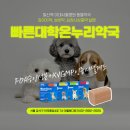 대학온누리약국 이미지