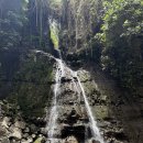 올리농장 이미지