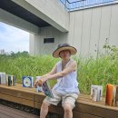 되 돼 노들섬길 이미지