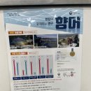 연수로횟집 | 대청댐 주변 송어회 맛집 "판장횟집" 매년 방문하는 충북 보은 송어맛집 향어 가격