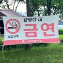 인삼골오토캠핑장 | 금산인삼골오토캠핑장 추천