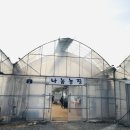 파주농장 이미지