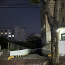 낭아래 | 제주도/서귀포 중문맛집 이색 흑돼지 요리 흑돼지 스키야키 맛집[낭아래 _제주중문]방문후기 💕(주차정보)